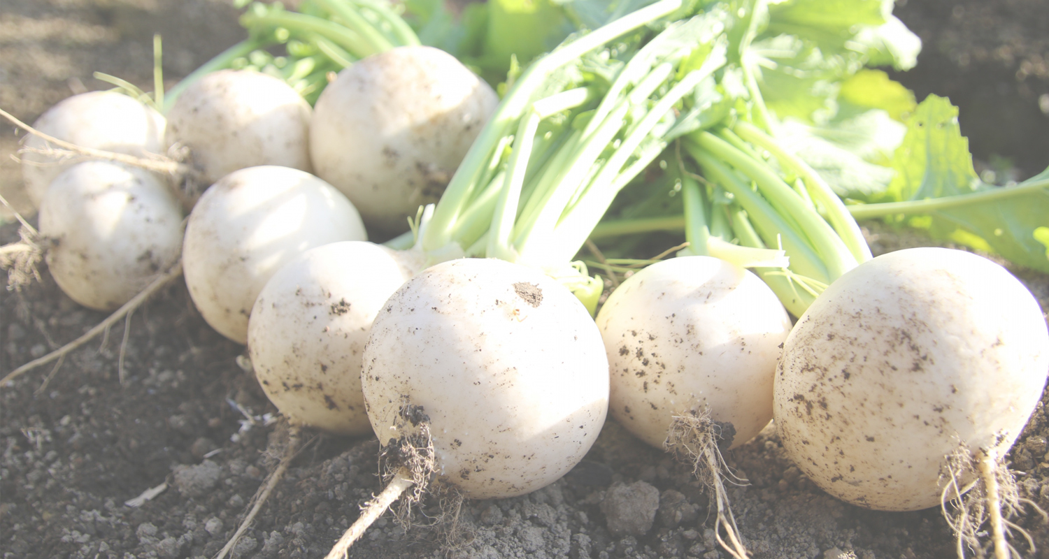 プライバシーポリシー